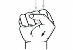 How Your Fist Form reveals significant information about you